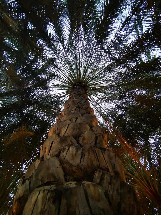 Alberi Lodge Hatta Luaran gambar