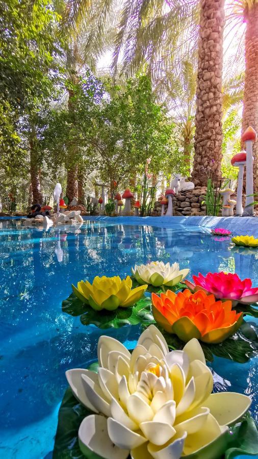 Alberi Lodge Hatta Luaran gambar